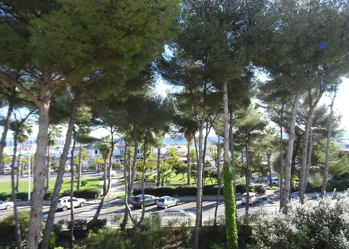 Spacieux A Avec Piscine, Climatisation Et Wi-fi - Fr-1-335-156 Hyeres